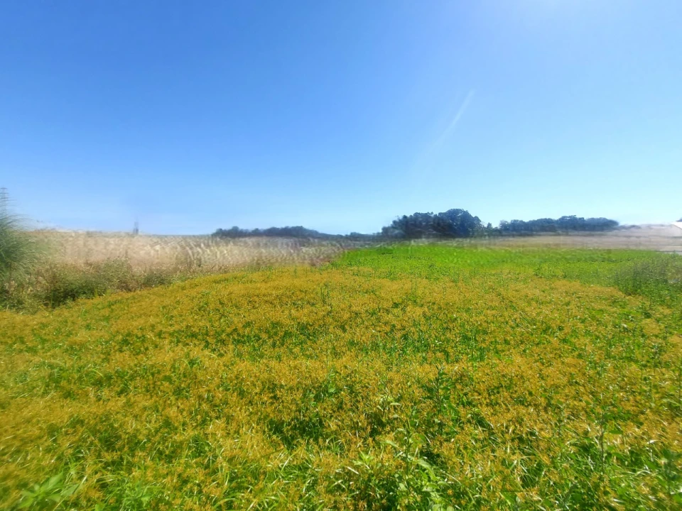 Terreno para Venda em Póvoa de Varzim, Beiriz e Argivai Foto 2