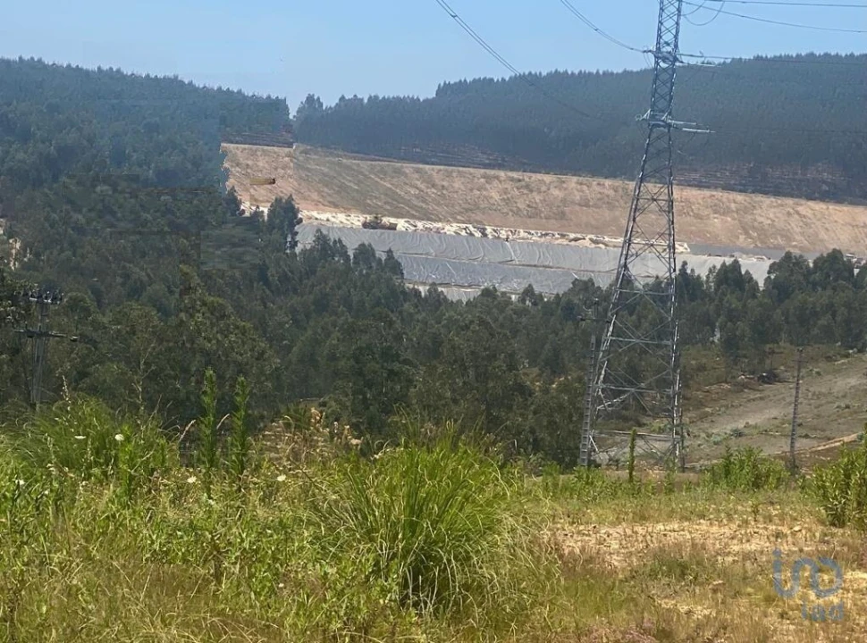Terreno para Venda em Campo e Sobrado Foto 4