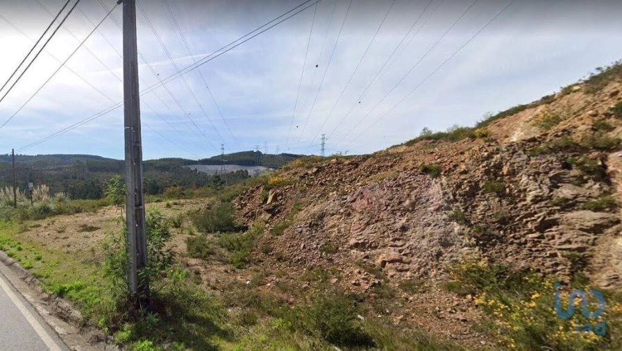 Terreno para Venda em Campo e Sobrado Foto 7