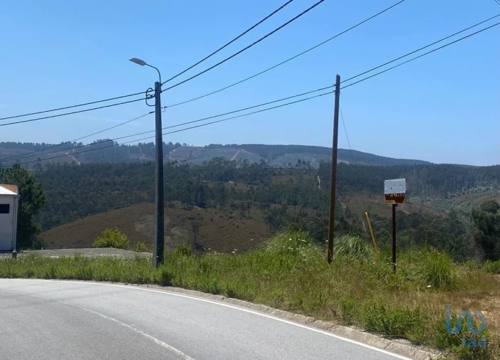 Terreno para Venda em Campo e Sobrado Foto 3