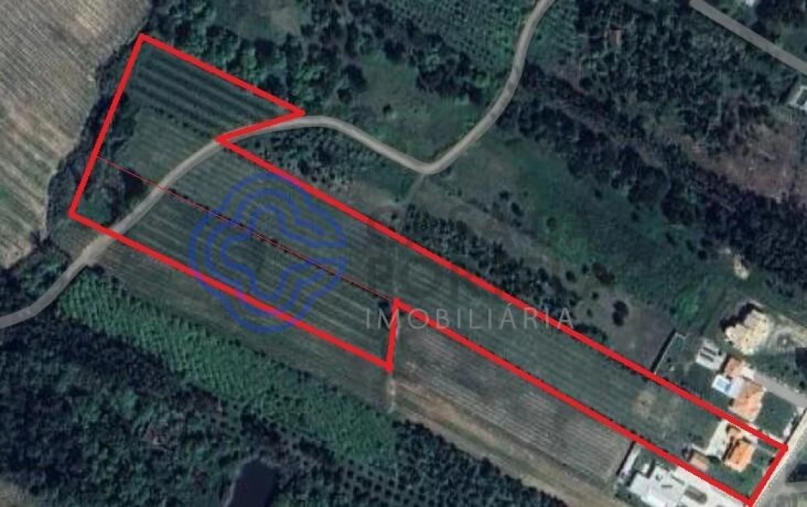 Moradia T2 para Venda em Carvalhal Foto 37