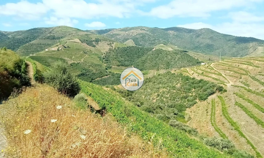Terreno para Venda em Ervedosa do Douro Foto 4