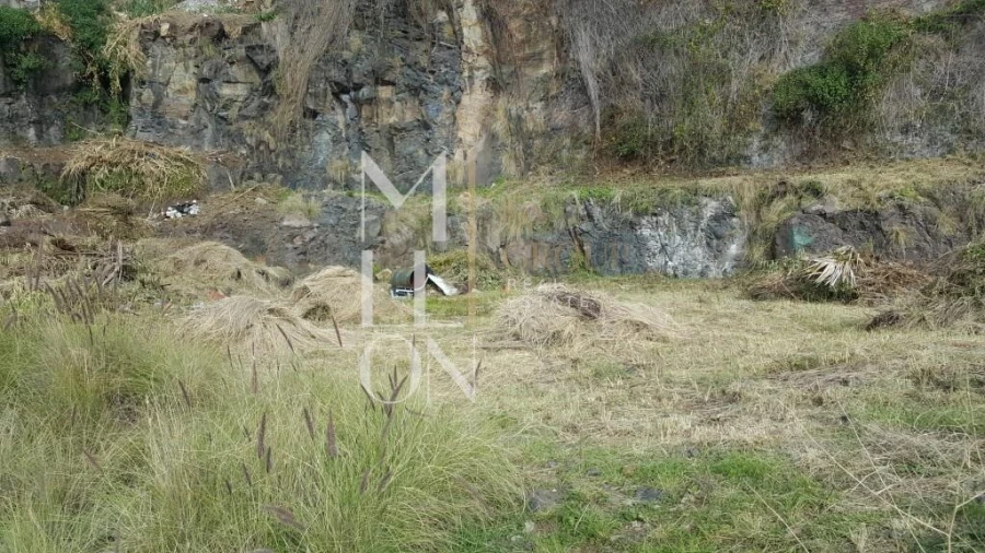 Terreno para Venda em Funchal (São Pedro) Foto 6