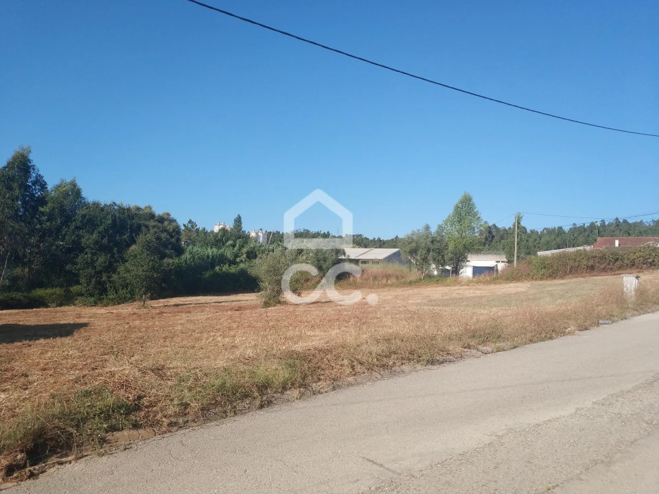 Terreno para Venda em São Martinho do Bispo e Ribeira de Frades Foto 2