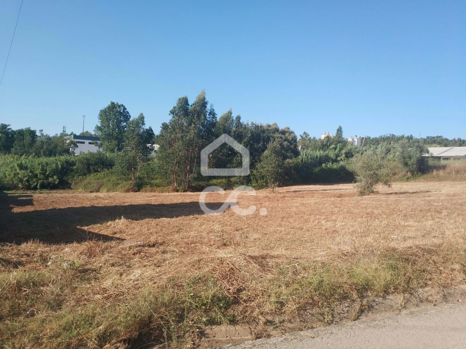 Terreno para Venda em São Martinho do Bispo e Ribeira de Frades Foto 1