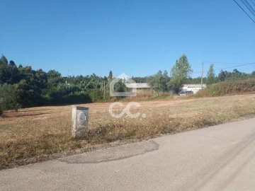 Terreno para Venda em São Martinho do Bispo e Ribeira de Frades