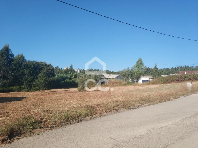 Terreno para Venda em São Martinho do Bispo e Ribeira de Frades Foto 2