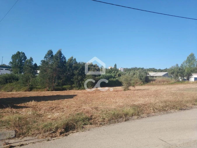 Terreno para Venda em São Martinho do Bispo e Ribeira de Frades Foto 3