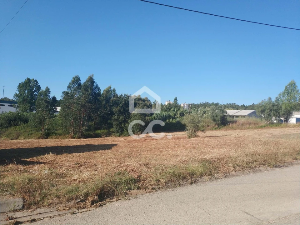 Terreno para Venda em São Martinho do Bispo e Ribeira de Frades Foto 3