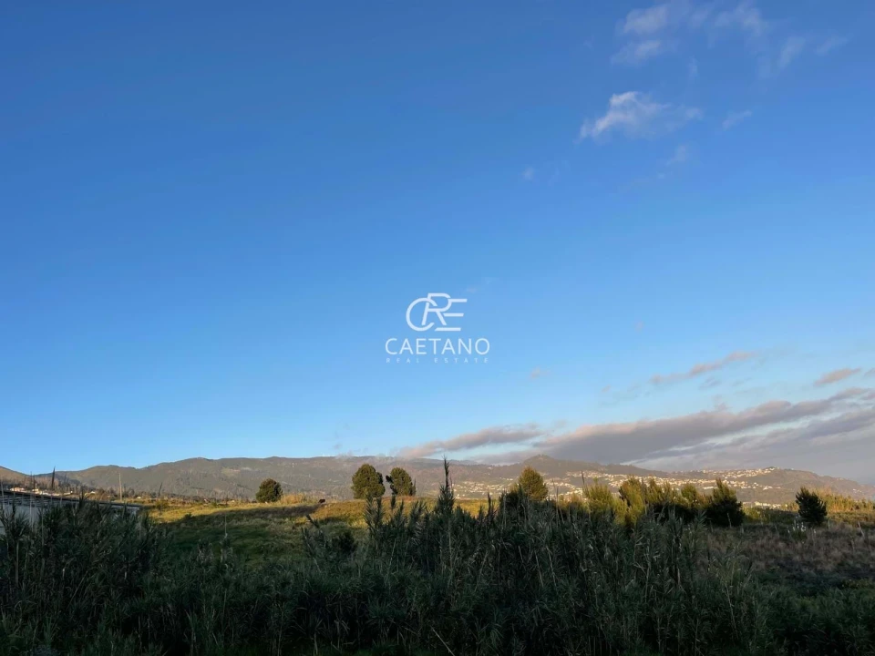 Terreno para Venda em Prazeres Foto 3