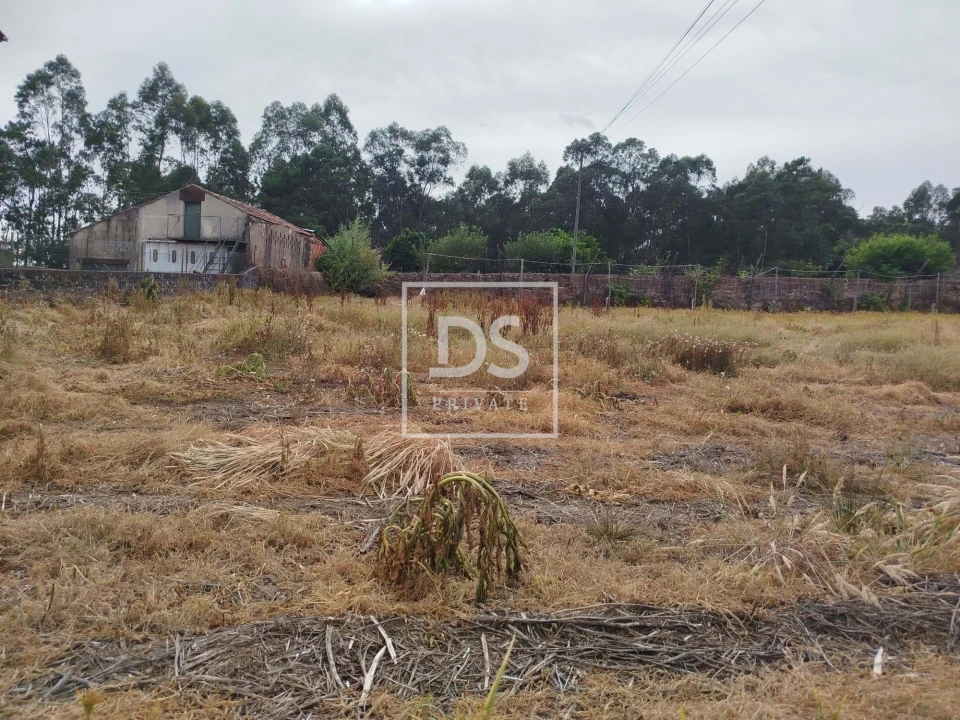 Terreno para Venda em São Martinho da Gandara Foto 8