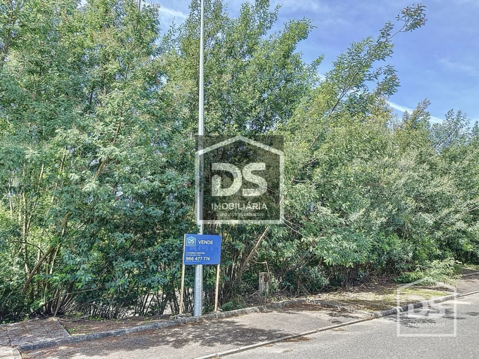 Terreno para Venda em Santa Comba Dão e Couto do Mosteiro Foto 5