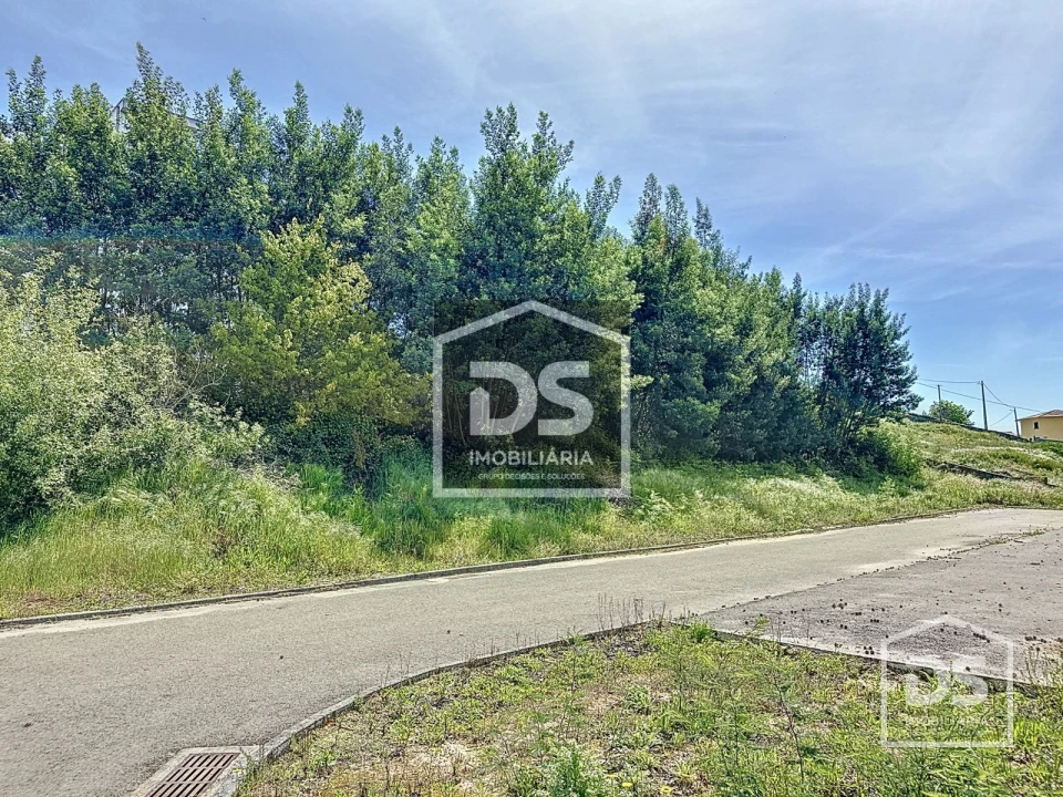Terreno para Venda em Santa Comba Dão e Couto do Mosteiro Foto 6