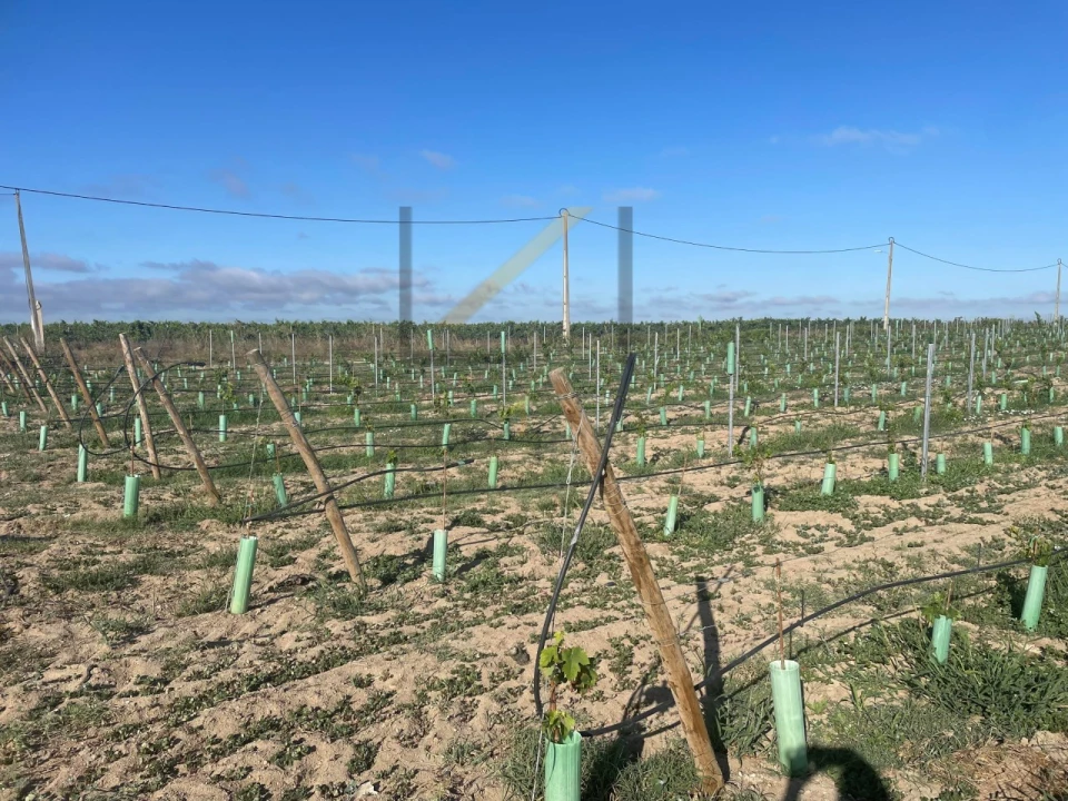 Terreno Agricola ou Rústico para Venda em Poceirão e Marateca Foto 8