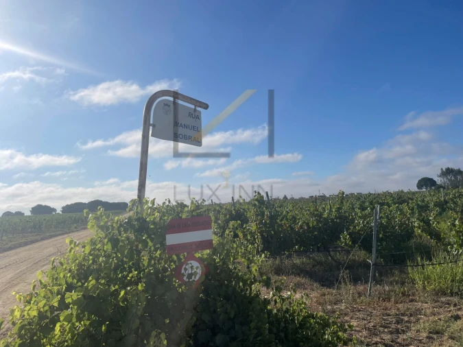 Terreno Agricola ou Rústico para Venda em Poceirão e Marateca Foto 3