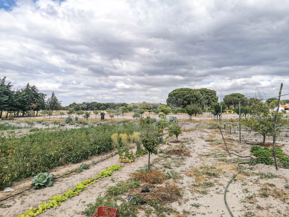 Quinta T7 para Venda em Grândola e Santa Margarida da Serra Foto 7