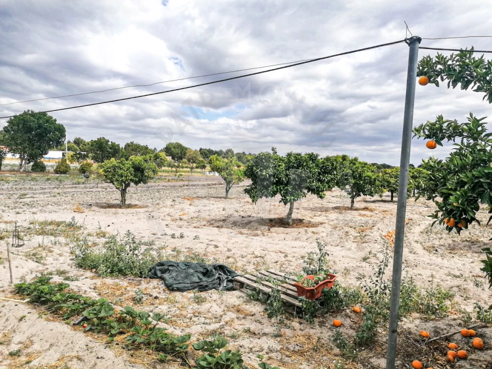 Quinta T7 para Venda em Grândola e Santa Margarida da Serra Foto 24