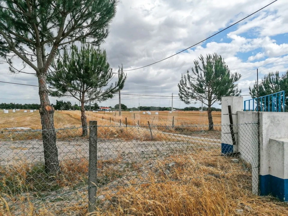 Quinta T7 para Venda em Grândola e Santa Margarida da Serra Foto 12