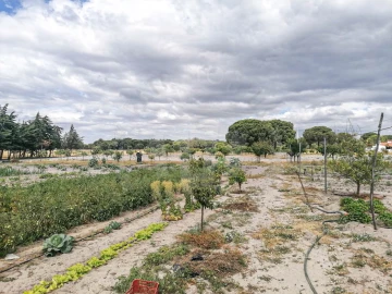 Quinta T7 para Venda em Grândola e Santa Margarida da Serra