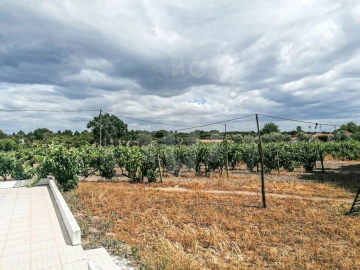 Quinta T7 para Venda em Grândola e Santa Margarida da Serra