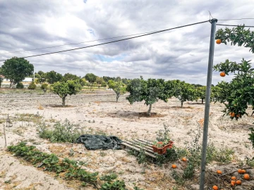 Quinta T7 para Venda em Grândola e Santa Margarida da Serra