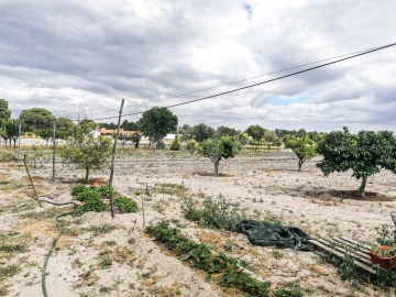 Quinta T7 para Venda em Grândola e Santa Margarida da Serra