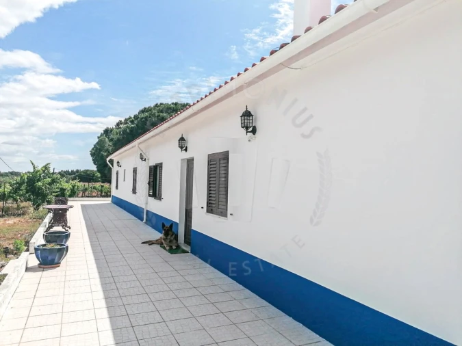 Quinta T7 para Venda em Grândola e Santa Margarida da Serra Foto 3