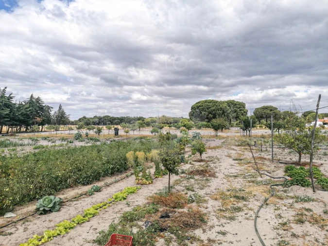 Quinta T7 para Venda em Grândola e Santa Margarida da Serra Foto 7