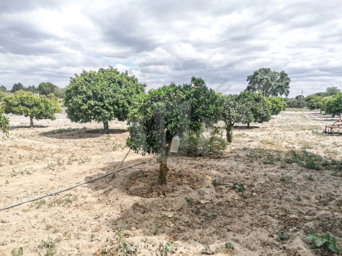 Quinta T7 para Venda em Grândola e Santa Margarida da Serra Foto 5
