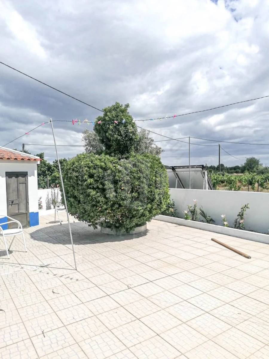 Quinta T7 para Venda em Grândola e Santa Margarida da Serra Foto 20