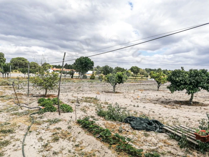 Quinta T7 para Venda em Grândola e Santa Margarida da Serra Foto 26