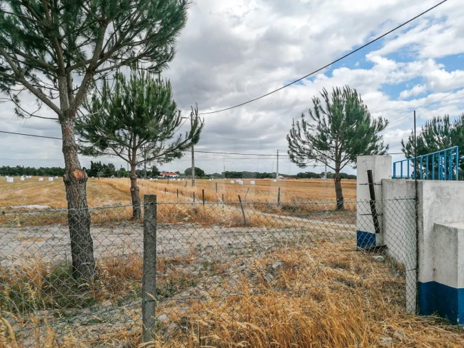 Quinta T7 para Venda em Grândola e Santa Margarida da Serra Foto 12