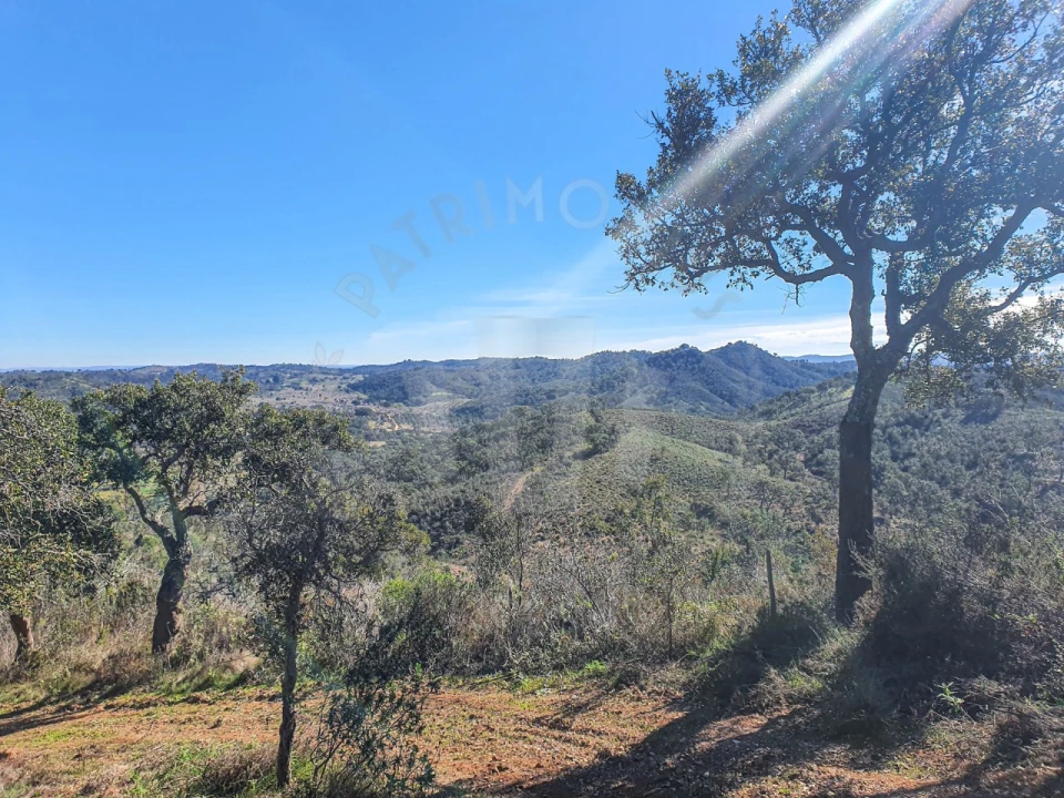Quinta para Venda em Colos Foto 1