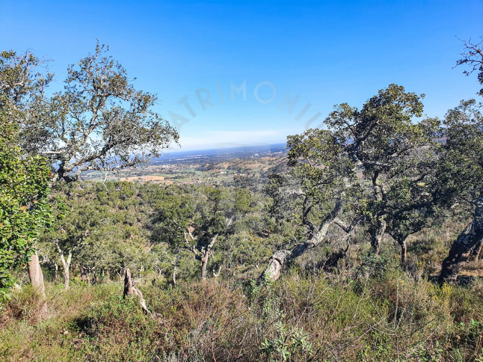 Quinta para Venda em Colos Foto 3
