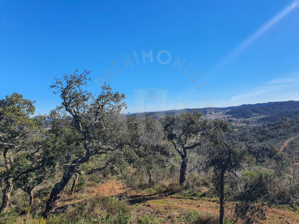 Quinta para Venda em Colos Foto 4