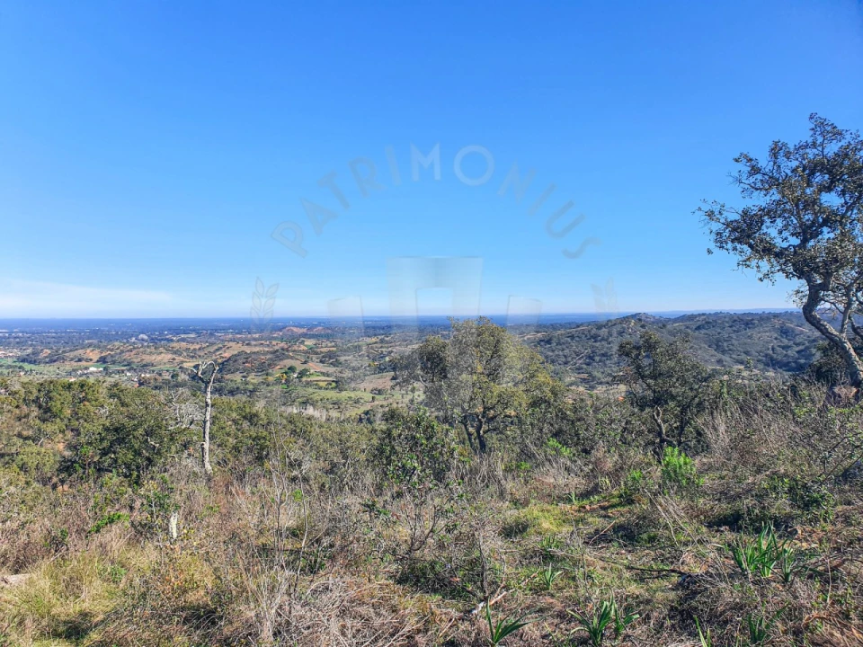 Quinta para Venda em Colos Foto 7