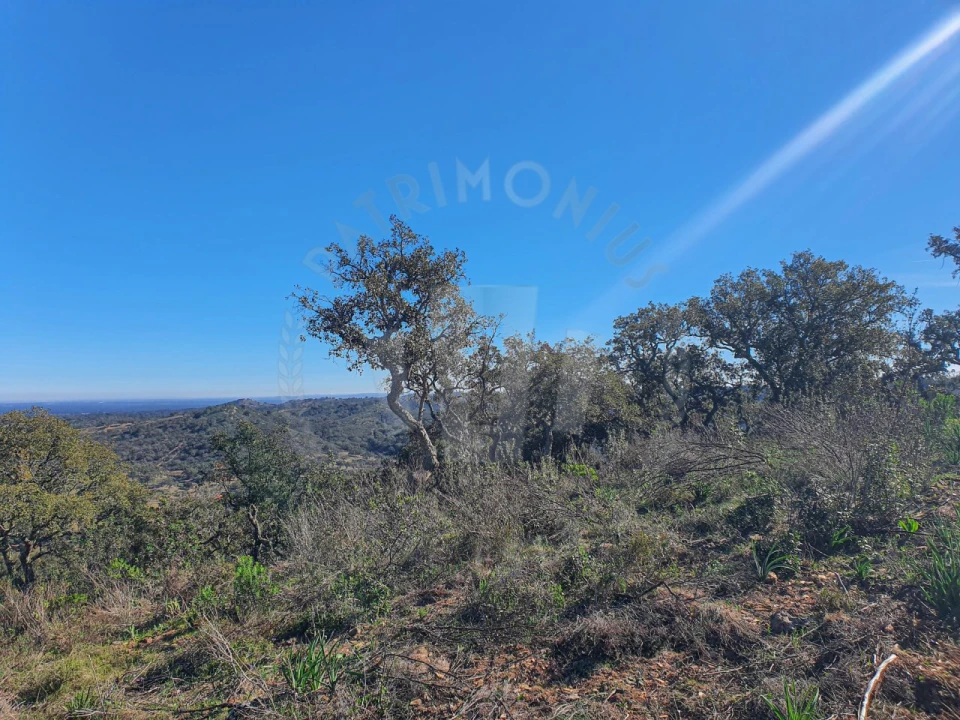 Quinta para Venda em Colos Foto 8