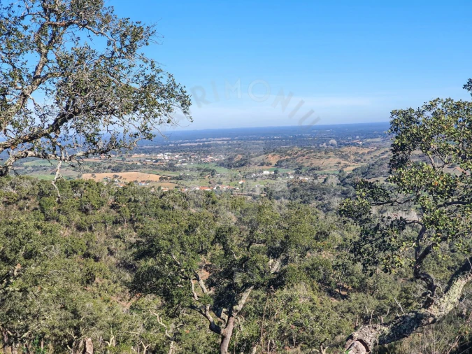 Quinta para Venda em Colos Foto 2