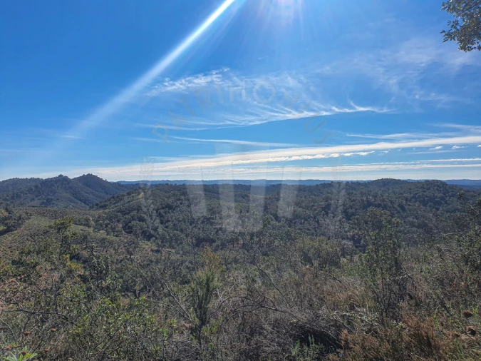 Quinta para Venda em Colos Foto 5