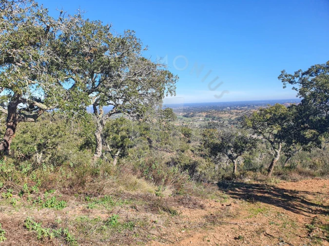 Quinta para Venda em Colos Foto 6