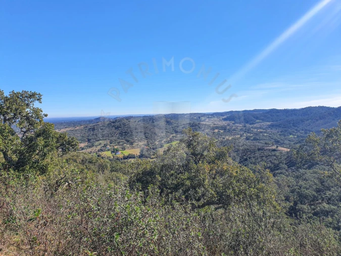 Quinta para Venda em Colos Foto 10