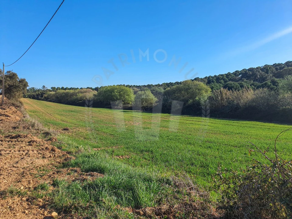 Terreno Agricola ou Rústico para Venda em São Luis Foto 2