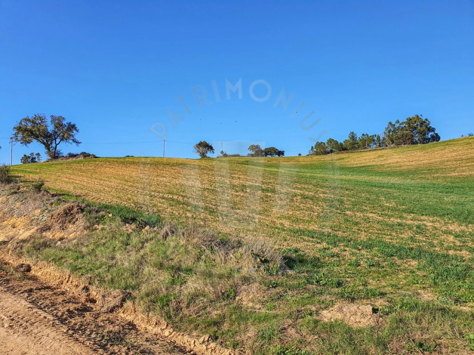 Terreno Agricola ou Rústico para Venda em São Luis Foto 6