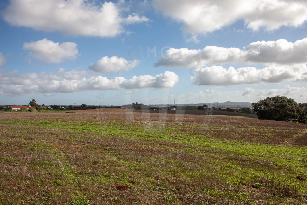 Terreno Agricola ou Rústico para Venda em São Luis Foto 8