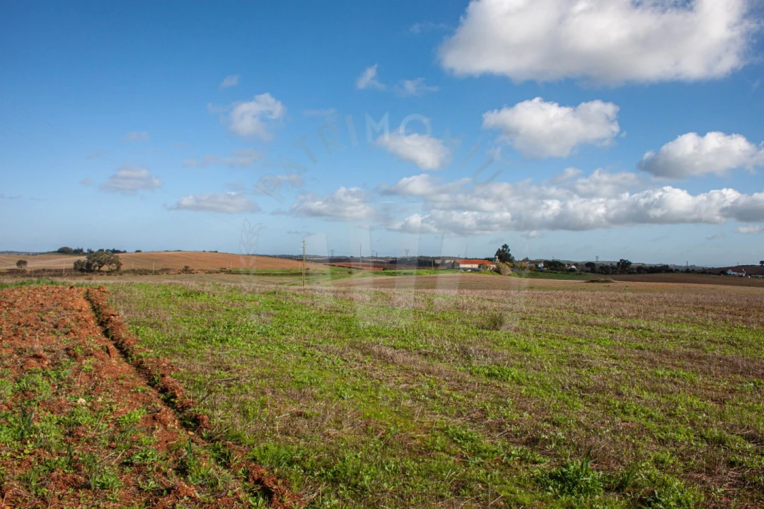 Terreno Agricola ou Rústico para Venda em São Luis Foto 10