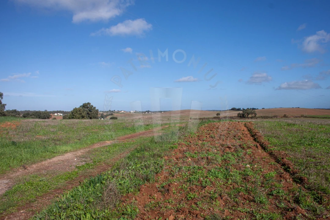 Terreno Agricola ou Rústico para Venda em São Luis Foto 11