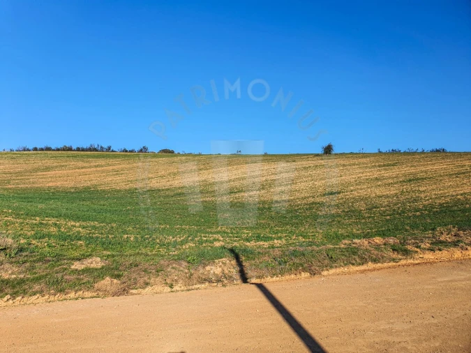 Terreno Agricola ou Rústico para Venda em São Luis Foto 3