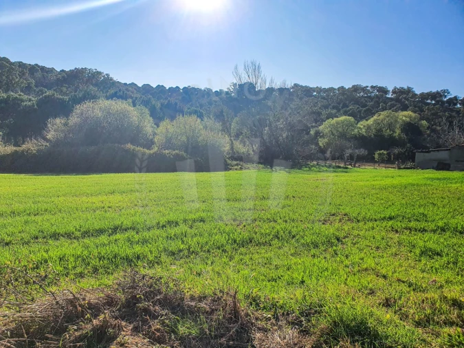Terreno Agricola ou Rústico para Venda em São Luis Foto 4