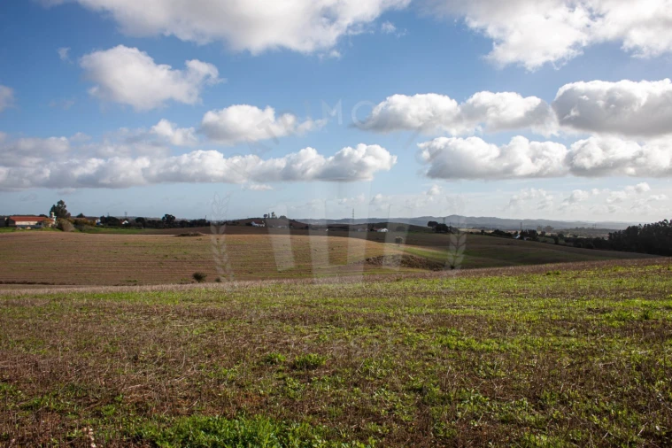 Terreno Agricola ou Rústico para Venda em São Luis Foto 15
