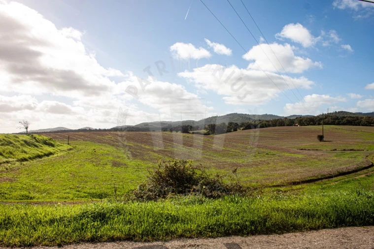 Terreno Agricola ou Rústico para Venda em São Luis Foto 18